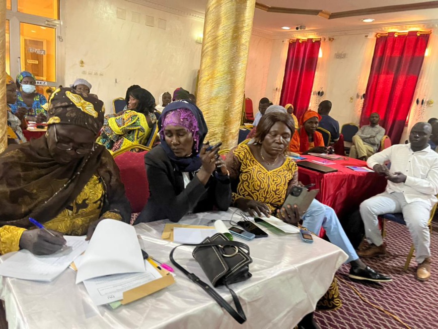 Tchad : la CELlAF et l'OSC organisent un atelier de validation en vue du dossier d’investissement Tchad : la CELlAF et l'OSC organisent un atelier de validation en vue du dossier d’investissement