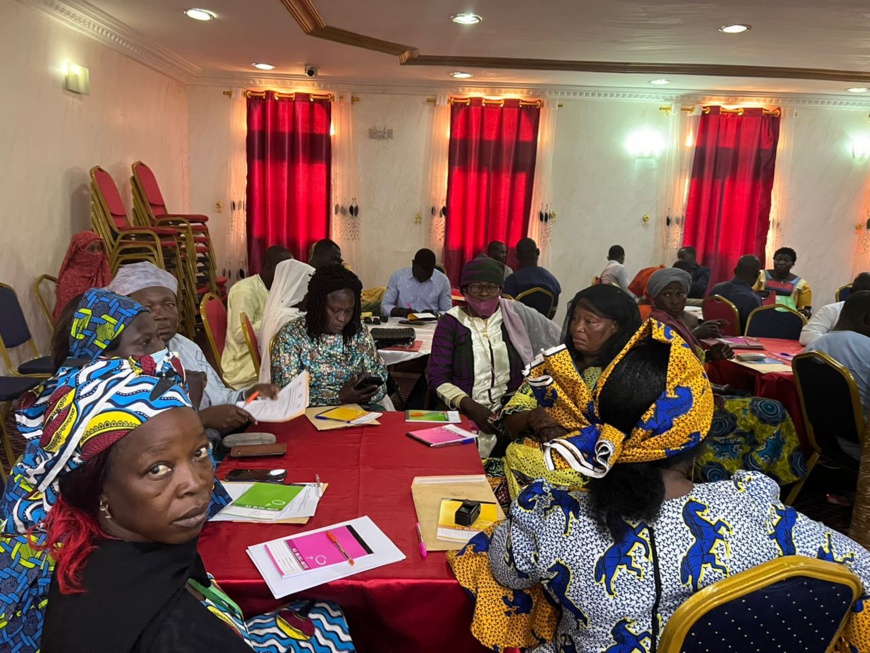 تشاد تستضيف ورشة عمل لتعزيز الصحة والتغذية للأمهات والأطفال تشاد تستضيف ورشة عمل لتعزيز الصحة والتغذية للأمهات والأطفال