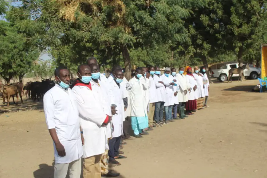 Tchad : ​lancement de la campagne de vaccination contre la PPCB et la PPR à N'Djamena