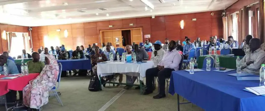Tchad : le HCR organise un atelier de réflexion stratégique et de présentation des résultats 2023
