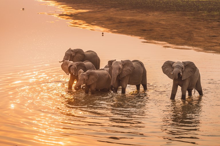 Cameroun : Au moins trois personne tuées à Afadé dans le Lac Tchad par des éléments