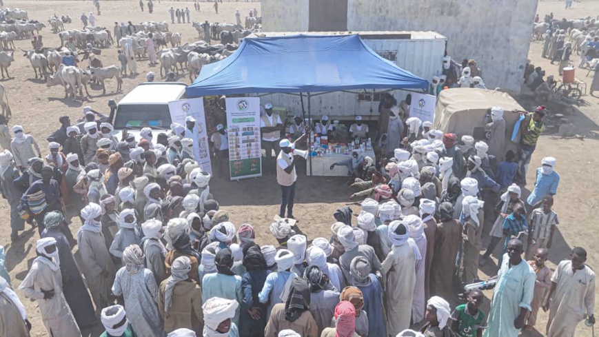 Tchad : l'AVAT sensibilise les éleveurs à l'utilisation responsable des produits vétérinaires