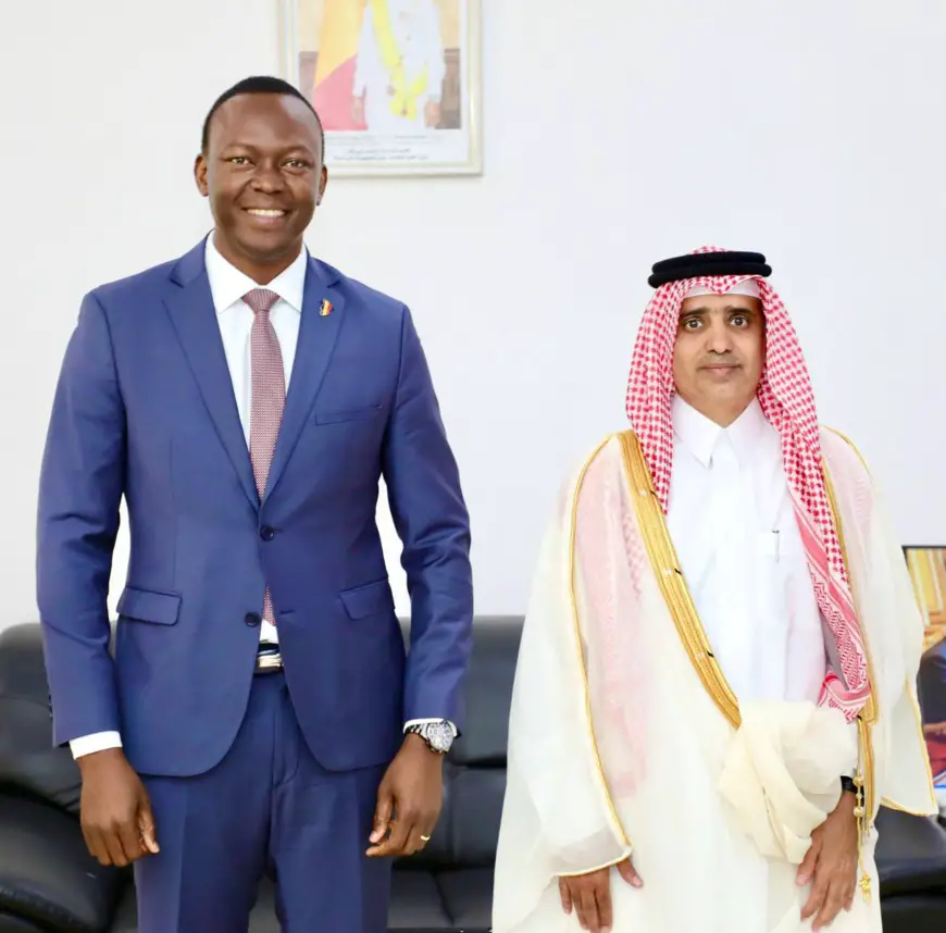 Tchad :  le Premier ministre a reçu l’ambassadeur du Qatar au Tchad