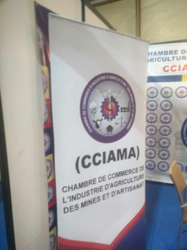 PROMOTE 2024 : la Chambre de Commerce du Tchad présente à Yaoundé