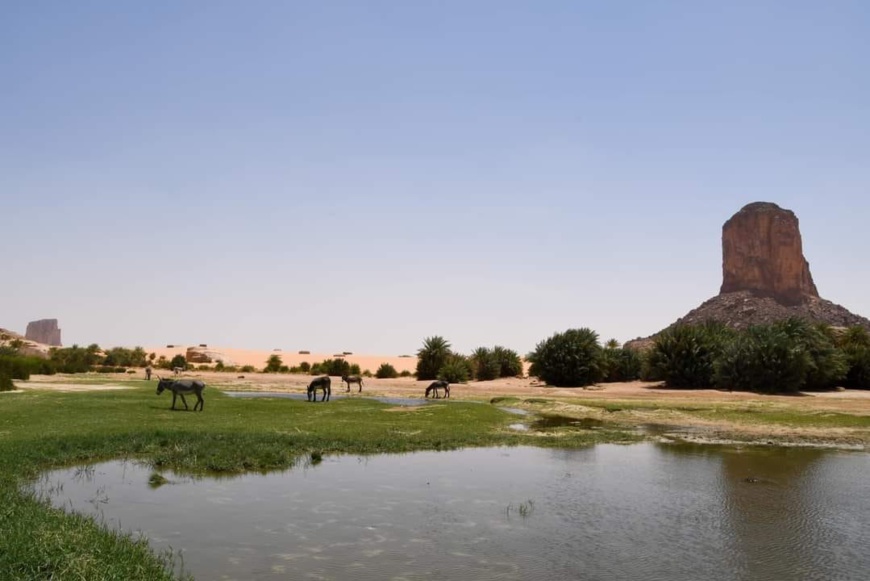 Tchad - Ennedi : un paradis caché au milieu du Sahara, à découvrir absolument !