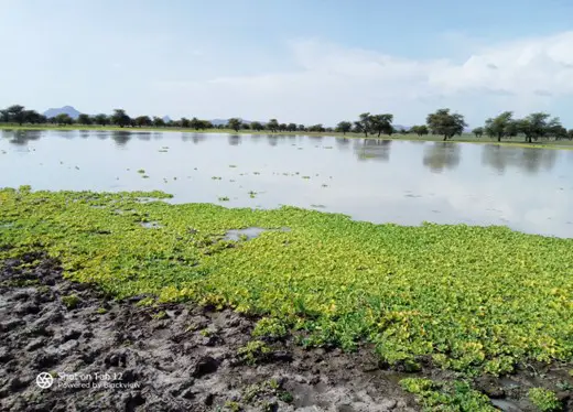 Tchad: L'importance de la réhabilitation des mares de Marmari et de Matar pour l'accès à l'eau en Ouaddai