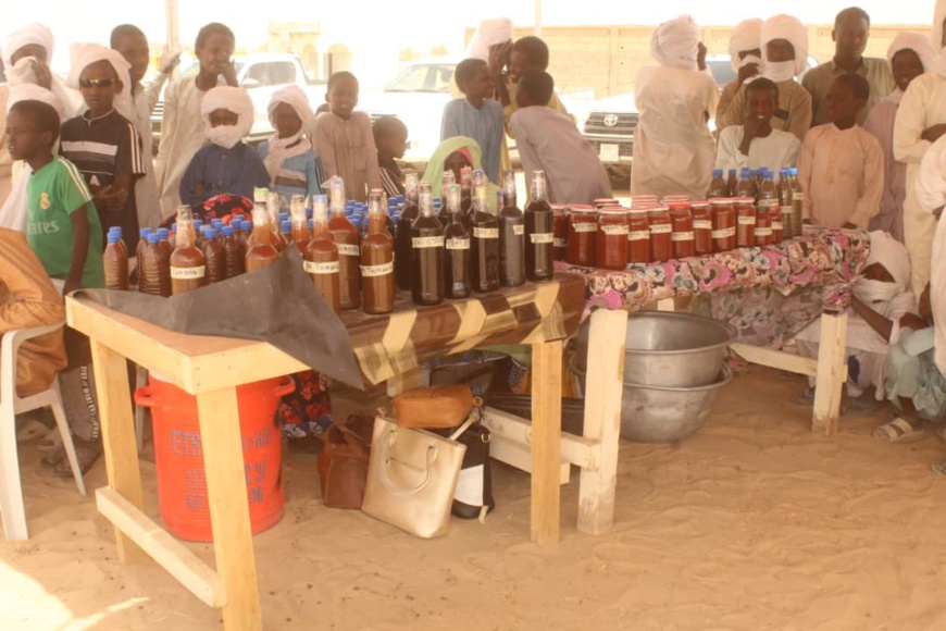 Tchad : clôture de la SENAFET et commémoration de la JIF au Kanem Tchad : clôture de la SENAFET et commémoration de la JIF au Kanem