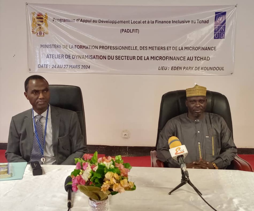 Tchad : un atelier pour dynamiser le secteur de la micro-finance Tchad : un atelier pour dynamiser le secteur de la micro-finance