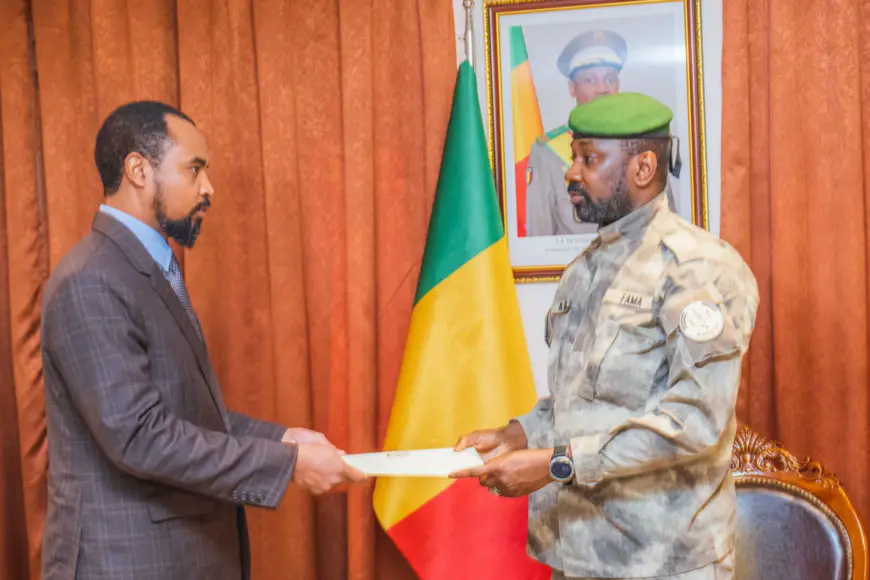Le Tchad sollicite le soutien du Mali pour la Direction générale de l'ASECNA