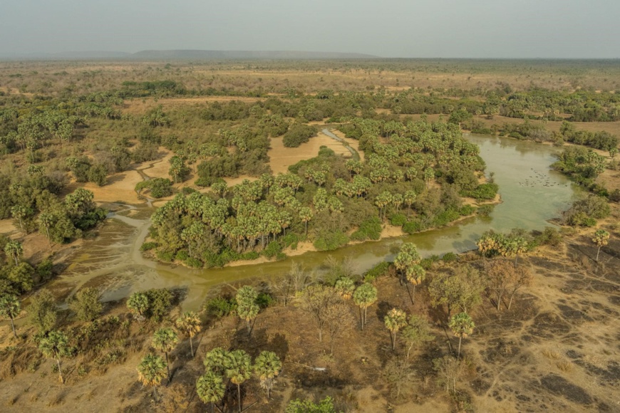 Tchad - Zakouma: un paradis naturel à découvrir Tchad - Zakouma: un paradis naturel à découvrir