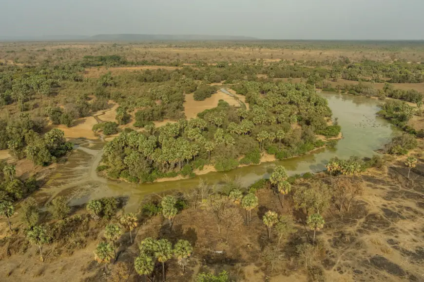 Tchad - Zakouma: un paradis naturel à découvrir