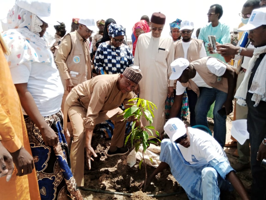 Tchad : lancement du projet sur les offres énergétiques et les sources renouvelables 