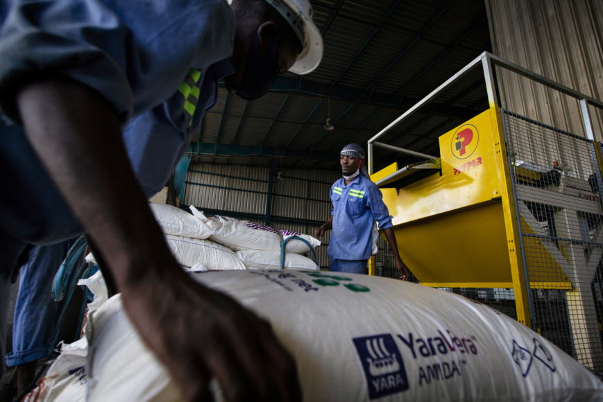 Afrique : 7,3 millions $ pour stimuler la productivité agricole et les revenus des petits exploitants