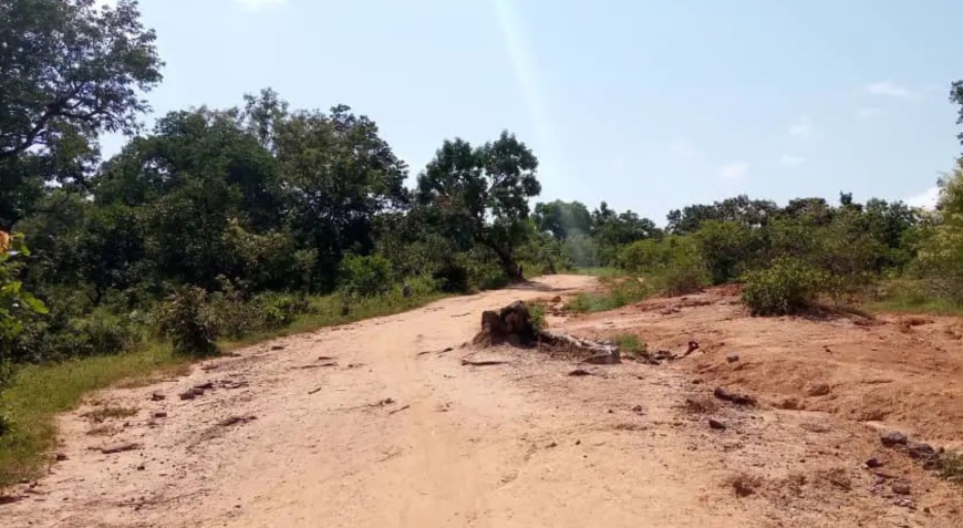 Tchad : une mère tue son enfant de six mois au Mayo Kebbi Ouest Tchad : une mère tue son enfant de six mois au Mayo Kebbi Ouest