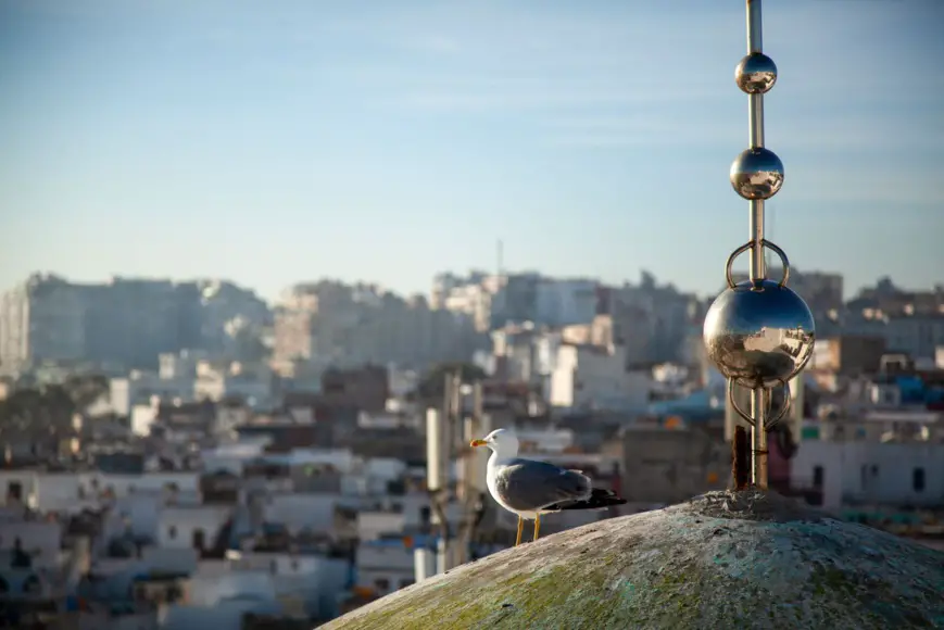 De l’eau pour demain : Tanger se mobilise pour l’or bleu