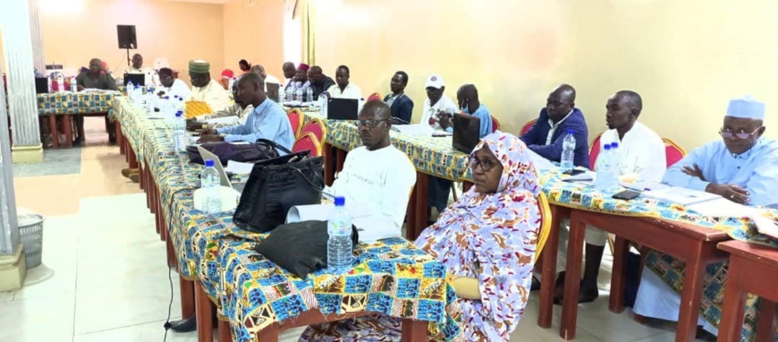 Le Tchad renforce ses capacités de gestion des urgences sanitaires avec la formation de formateurs Le Tchad renforce ses capacités de gestion des urgences sanitaires avec la formation de formateurs
