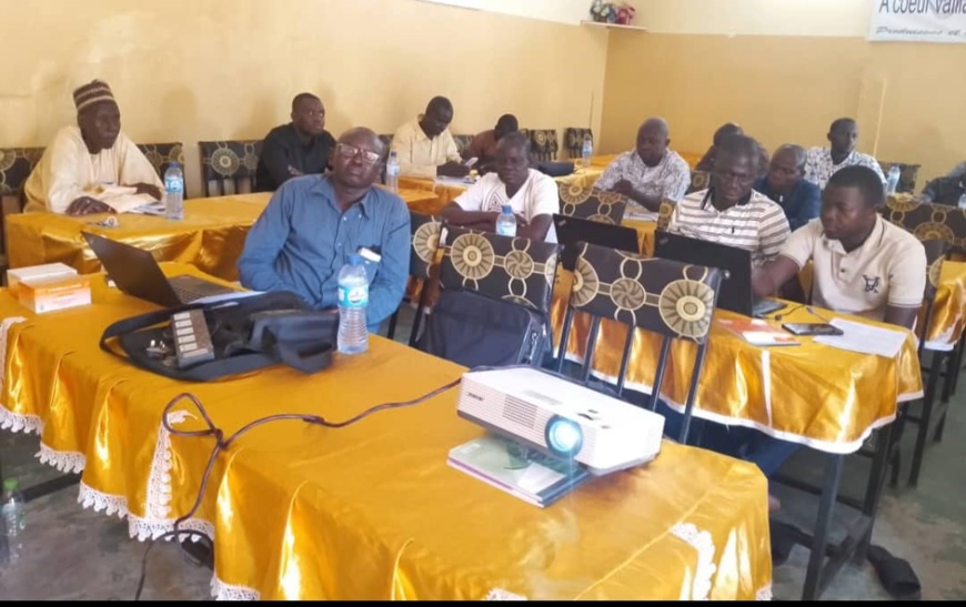Tchad : formation des prestataires de soins sur le paludisme Tchad : formation des prestataires de soins sur le paludisme