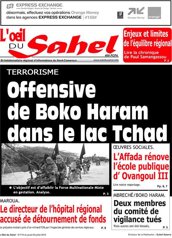 Boko Haram tente d'affaiblir une force multinationale en gestation