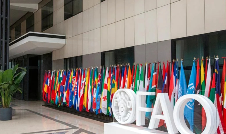 Illustration © DR Illustration © DR