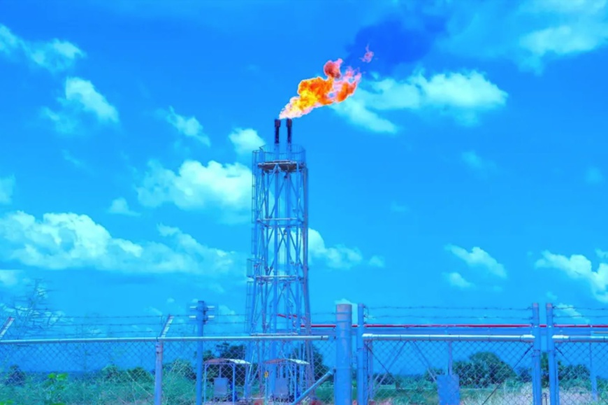 Tchad : Savannah perd une nouvelle bataille juridique contre COTCO