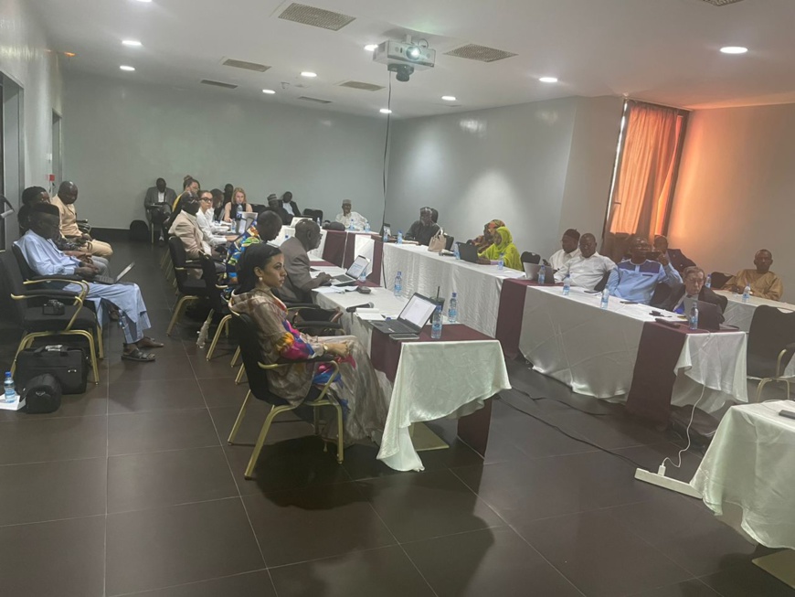 Tchad : Fin d'un atelier hybride sur le financement climatique à N'Djamena Tchad : Fin d'un atelier hybride sur le financement climatique à N'Djamena