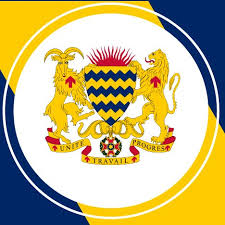 Tchad : le ministre de la Sécurité publique interdit les tirs de réjouissance Tchad : le ministre de la Sécurité publique interdit les tirs de réjouissance