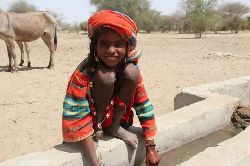 Malnutrition : Le Tchad atteint le double du seuil "critique"