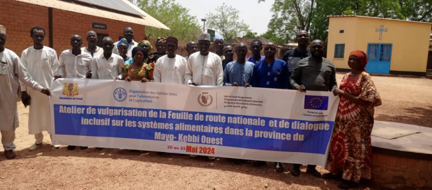 Tchad : Appropriation de la feuille de route nationale sur les systèmes alimentaires par les acteurs locaux du Mayo Kebbi Ouest Tchad : Appropriation de la feuille de route nationale sur les systèmes alimentaires par les acteurs locaux du Mayo Kebbi Ouest
