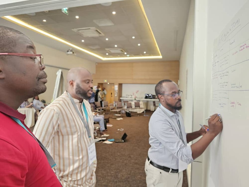 Tchad : AMP Health renforce les capacités des équipes du Programme National de Lutte contre le Paludisme Tchad : AMP Health renforce les capacités des équipes du Programme National de Lutte contre le Paludisme