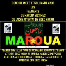 Attentats du mercredi 22 juillet 2015 à Maroua : Le Code s’en prend à Paul Biya  Attentats du mercredi 22 juillet 2015 à Maroua : Le Code s’en prend à Paul Biya