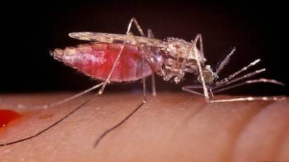 Le premier vaccin contre le paludisme approuvé