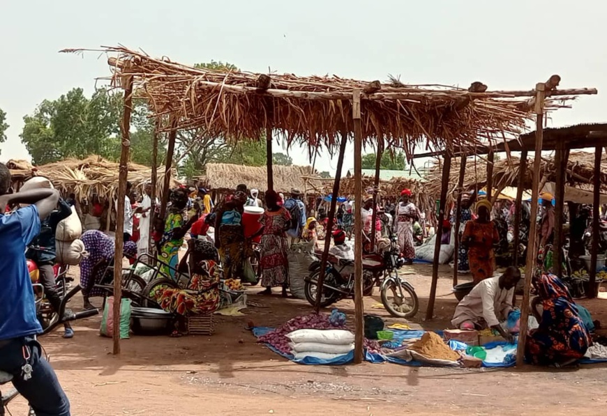 Tchad : marché bihebdomadaire de Mbikou, une tradition qui génère de bénéfices Tchad : marché bihebdomadaire de Mbikou, une tradition qui génère de bénéfices
