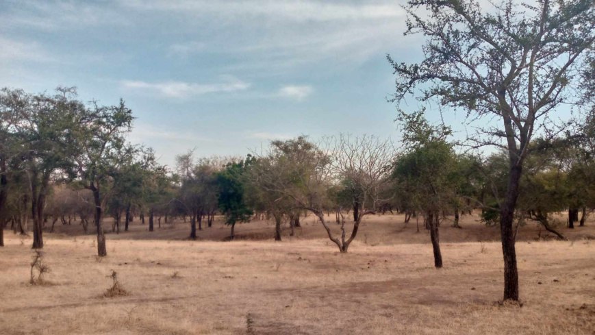 Tchad : les braqueurs ont emporté sa moto près d'Am-Timan après l'avoir froidement abattu Tchad : les braqueurs ont emporté sa moto près d'Am-Timan après l'avoir froidement abattu