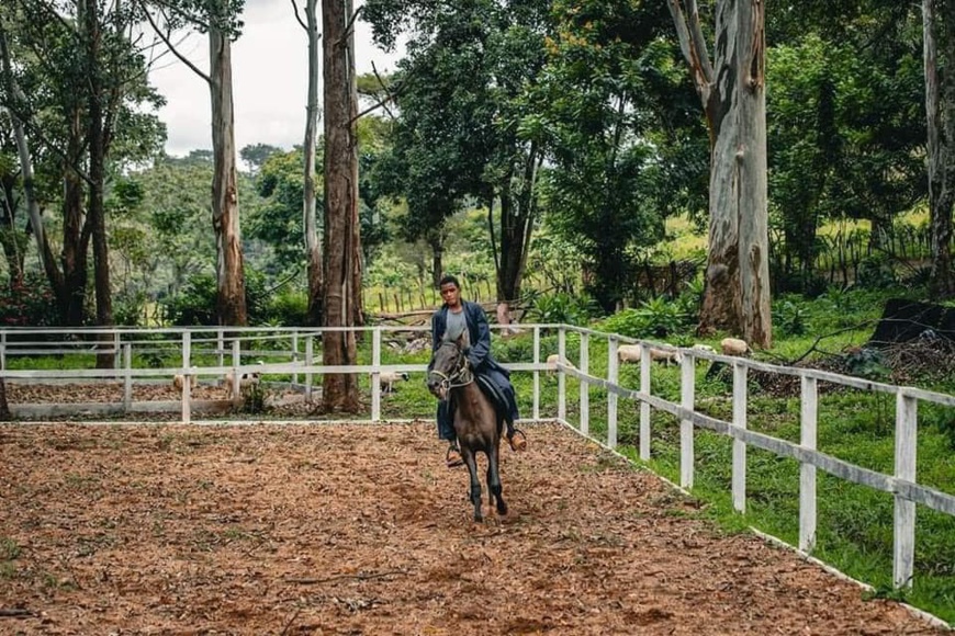 Cameroun - Le Ranch de Ngaoundaba: Un havre de paix en plein cœur de la région de l’Adamaoua Cameroun - Le Ranch de Ngaoundaba: Un havre de paix en plein cœur de la région de l’Adamaoua