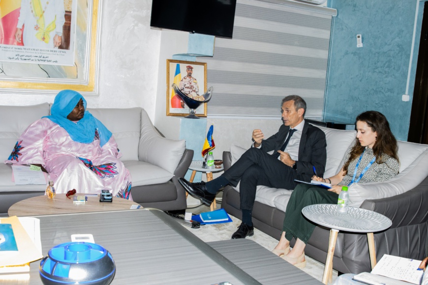 Tchad : Concertation sur la situation humanitaire et la collaboration bilatérale entre le gouvernement et l'OIM Tchad : Concertation sur la situation humanitaire et la collaboration bilatérale entre le gouvernement et l'OIM