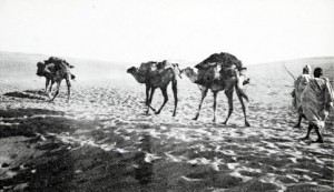 La mystérieuse route caravanière de Gabès, en Tunisie à Nguigmi, au Tchad