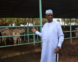 Tchad : « on a tout raté, il faut revoir notre politique », affirme le Président Idriss Déby Tchad : « on a tout raté, il faut revoir notre politique », affirme le Président Idriss Déby