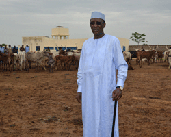 Le Tchad "doit consommer son lait et le commercialiser" (Idriss Déby)