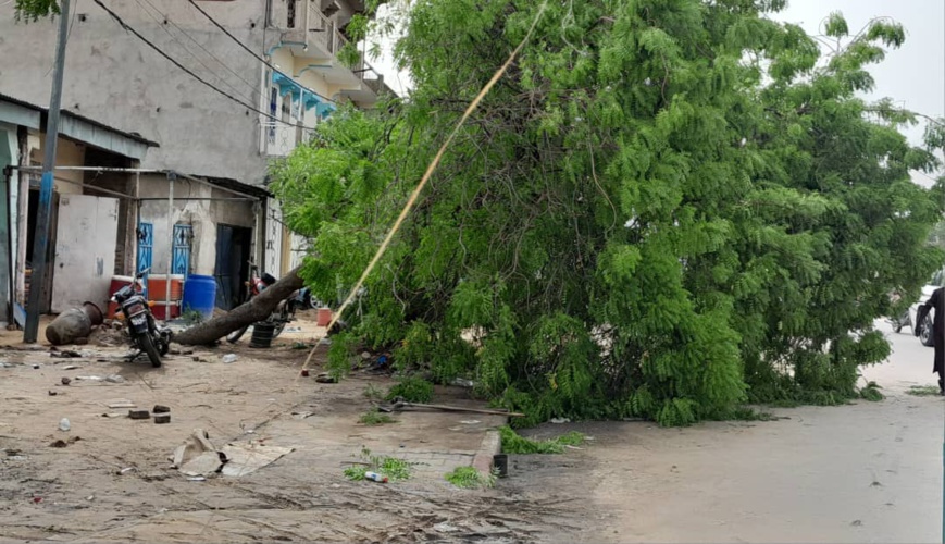 Tchad : la ville de N'Djamena a enregistré une grosse pluie accompagnée d'un vent violent Tchad : la ville de N'Djamena a enregistré une grosse pluie accompagnée d'un vent violent