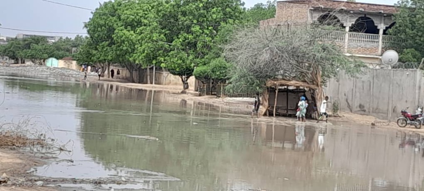 Tchad : la ville de N'Djamena a enregistré une grosse pluie accompagnée d'un vent violent Tchad : la ville de N'Djamena a enregistré une grosse pluie accompagnée d'un vent violent
