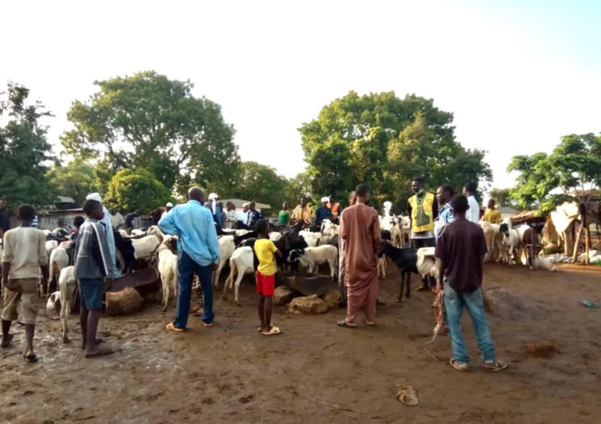 Tchad : la perdition des enfants, un phénomène qui prend de l'ampleur pendant les fêtes Tchad : la perdition des enfants, un phénomène qui prend de l'ampleur pendant les fêtes