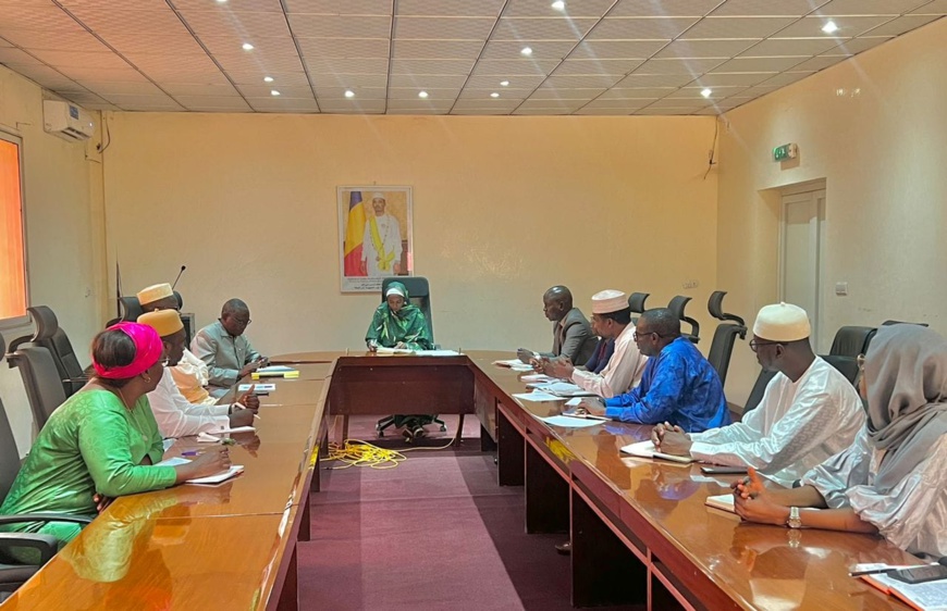 Tchad : demande croissante des documents liés à la circulation routière Tchad : demande croissante des documents liés à la circulation routière