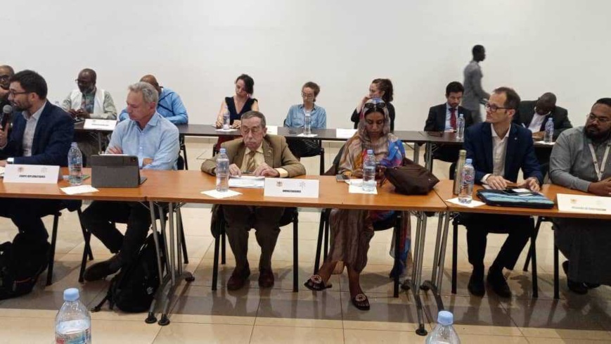 Tchad : table ronde des donateurs en raison de la crise humanitaire à l’Est du pays Tchad : table ronde des donateurs en raison de la crise humanitaire à l’Est du pays