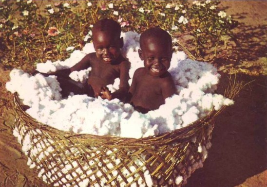Des enfants dans un panier rempli de coton, au Tchad. Crédits: Delcampe.net Des enfants dans un panier rempli de coton, au Tchad. Crédits: Delcampe.net