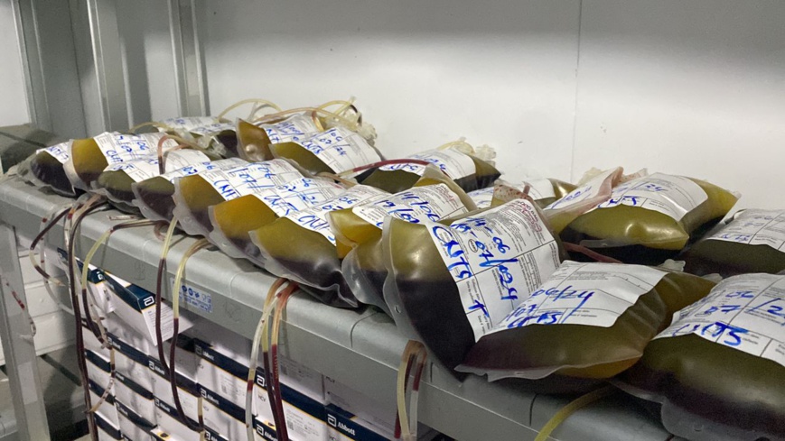 Tchad : faire un don de sang, c'est sauver la vie Tchad : faire un don de sang, c'est sauver la vie