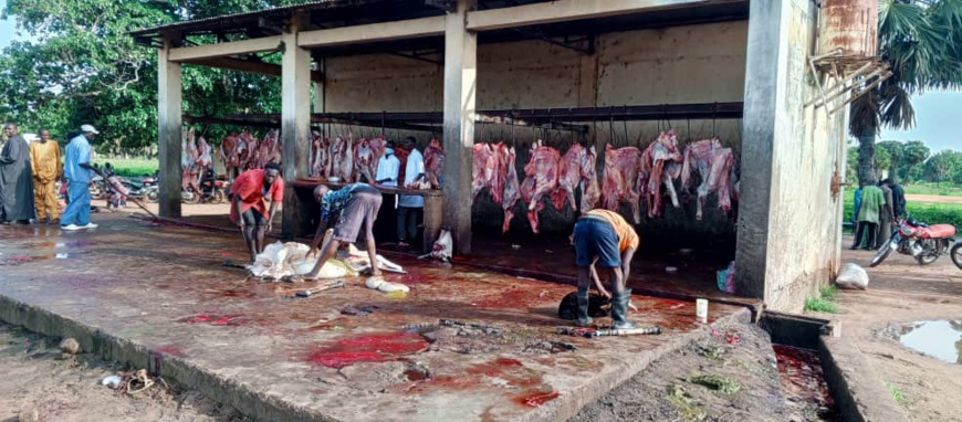 Tchad : l'aire d'abattage de Kelo met mal à l'aise la population environnante Tchad : l'aire d'abattage de Kelo met mal à l'aise la population environnante