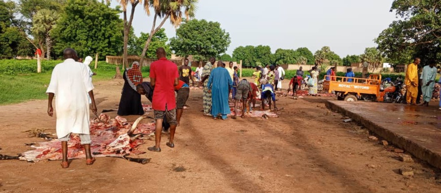 Tchad : l'aire d'abattage de Kelo met mal à l'aise la population environnante Tchad : l'aire d'abattage de Kelo met mal à l'aise la population environnante