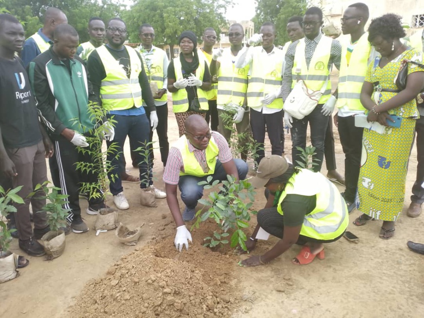 Tchad : ​Walia's Life lance une campagne de reboisement au lycée de Walia