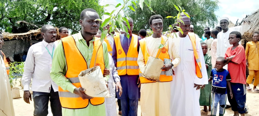 Tchad : l'AJUNG mène une opération de plantation d'arbres contre le changement climatique Tchad : l'AJUNG mène une opération de plantation d'arbres contre le changement climatique