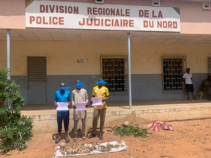 Cameroun - Trafic d'ossements humains : Trois suspects arrêtés dans le Nord Cameroun - Trafic d'ossements humains : Trois suspects arrêtés dans le Nord